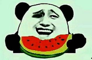 娱乐吃瓜酱爷爷电话,揭秘娱乐圈幕后故事