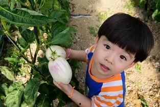 娱乐吃瓜酱不幸的童年
