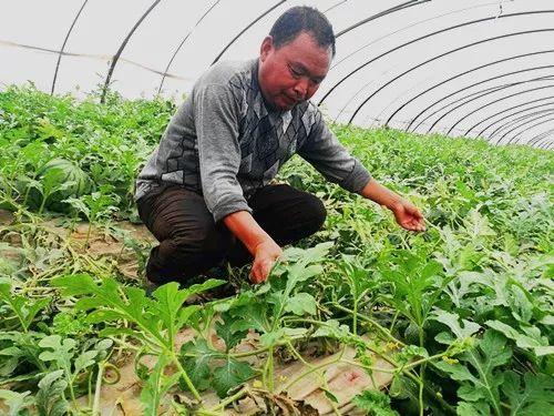 郑州吃瓜娱乐官网,揭秘城市美食与娱乐新风向